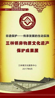 三林非遺保護(hù) 傳承與發(fā)展的生動(dòng)實(shí)踐